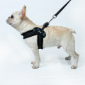 Reflecting V style Mesh pet dog harness